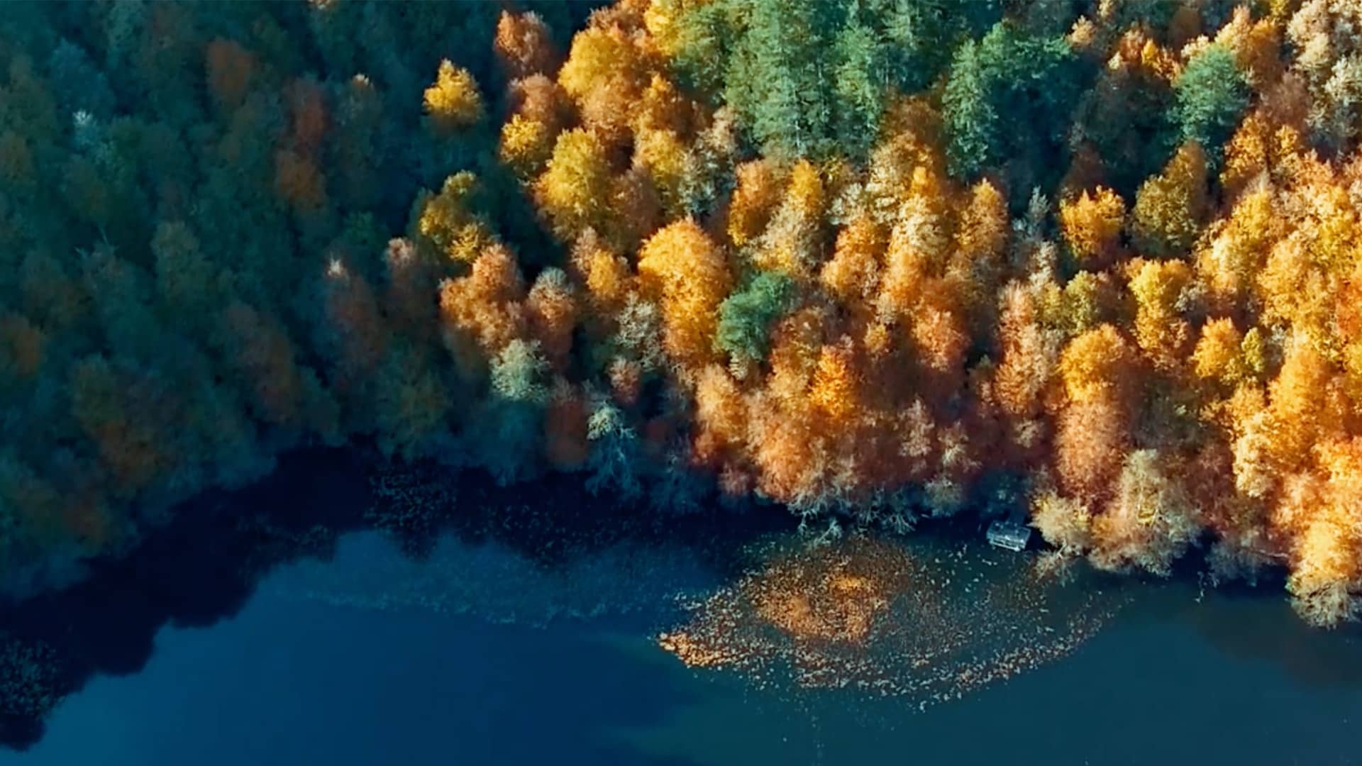 Black Sea Welcomes You