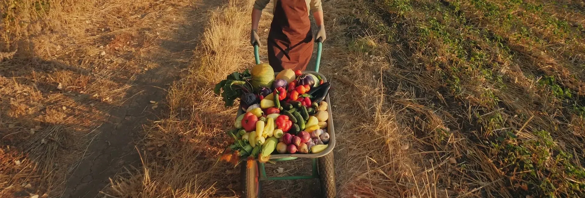 7 GI-Certified Turkish Products