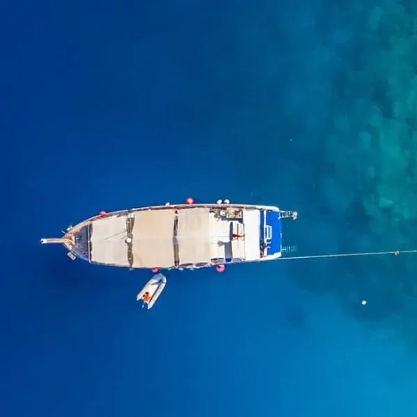 Sail the Enchanted Coast