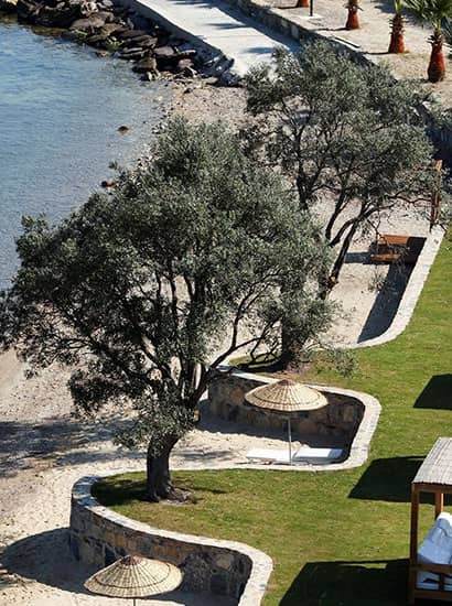 Med-Inn Boutique Hotel