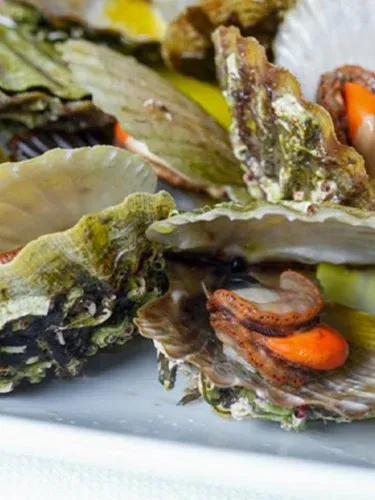 Yeniköy Balıkçısı