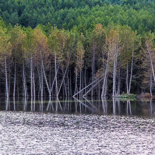 Akdoğan Nature Park