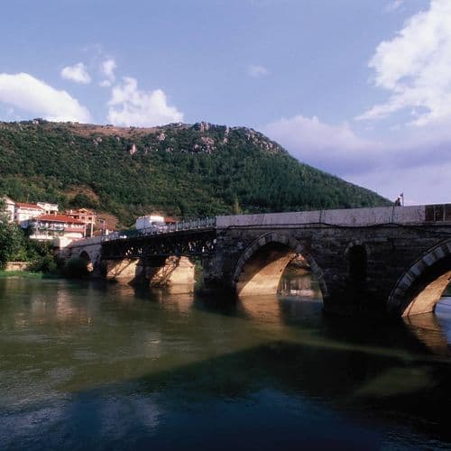 Ali Fuat Paşa Bridge