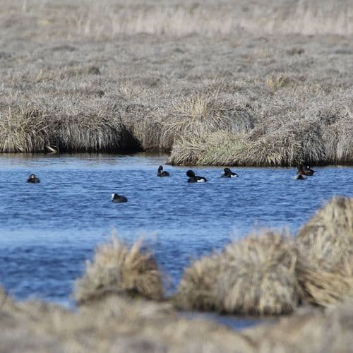 Озеро Путка