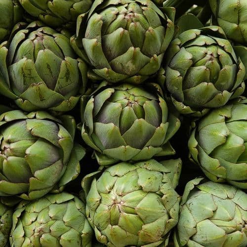 Artichoke