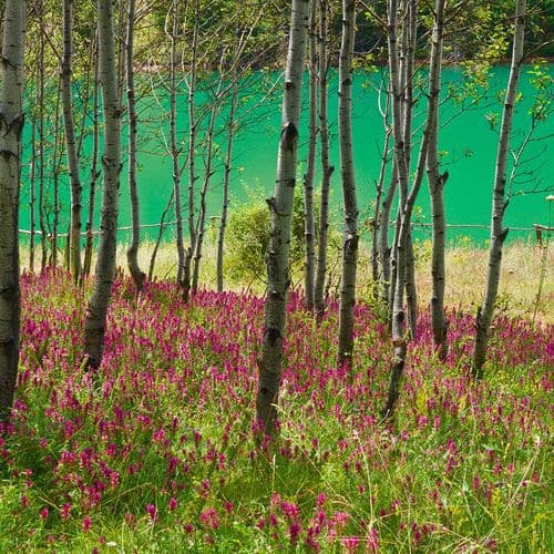 Rivière et Vallée de Çoruh