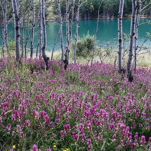 Rivière et Vallée de Çoruh