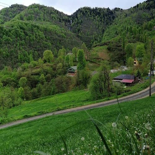 Hıdırnebi Plateau Trabzon