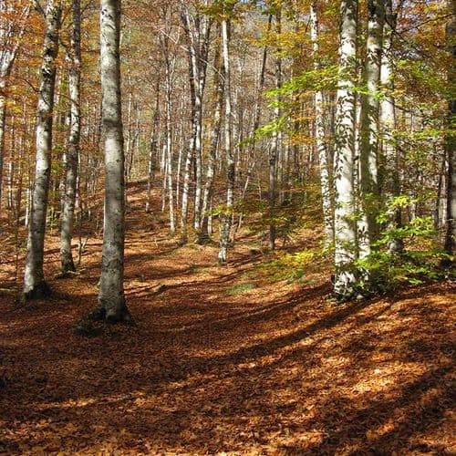 El Parque Nacional de los Siete Lagos