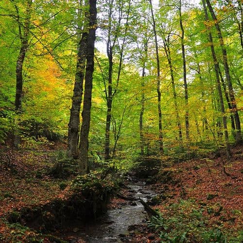 El Parque Nacional de los Siete Lagos