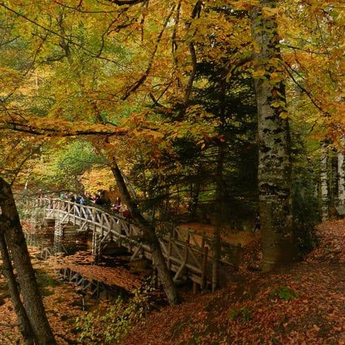 El Parque Nacional de los Siete Lagos