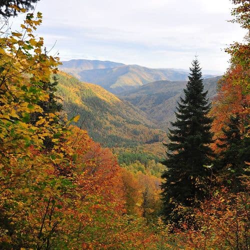 El Parque Nacional de los Siete Lagos