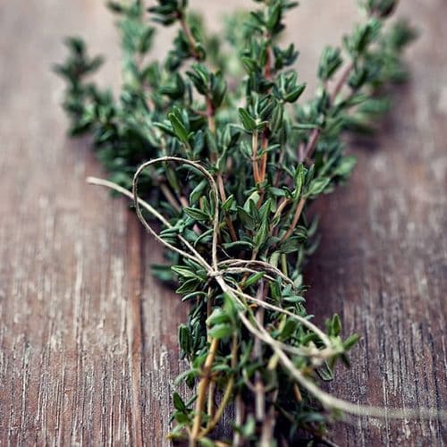 Thyme