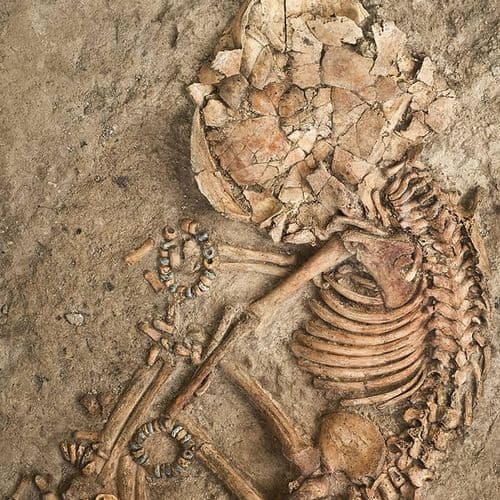 Çatalhöyük, Konya