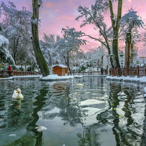 Kuğulu Park, Ankara