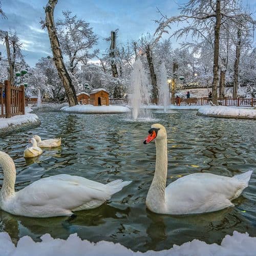 Kuğulu Park, Ankara