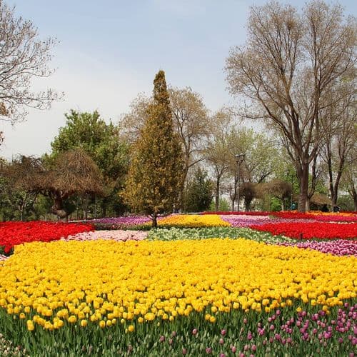 Alaeddin Hill, Konya