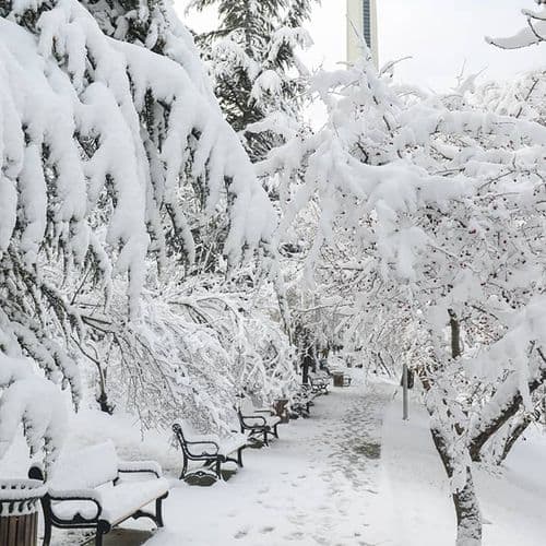 Botanical Garden, Ankara