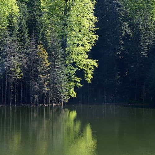 Torkul Plateau and Pond