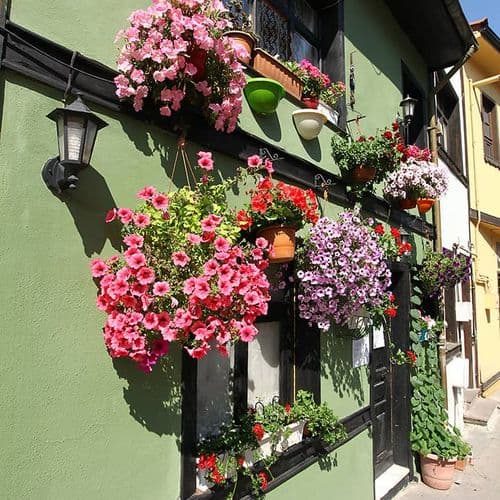 Odunpazarı District