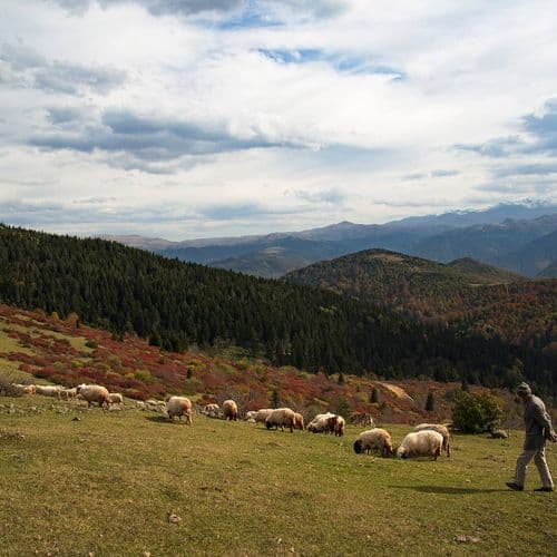 Paşakonağı Plateau