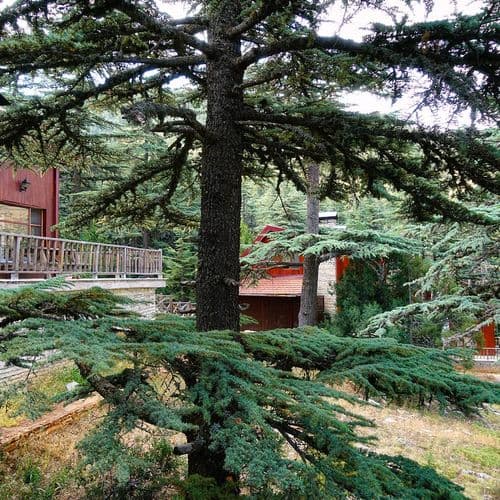 Природный парк Кызылдаг