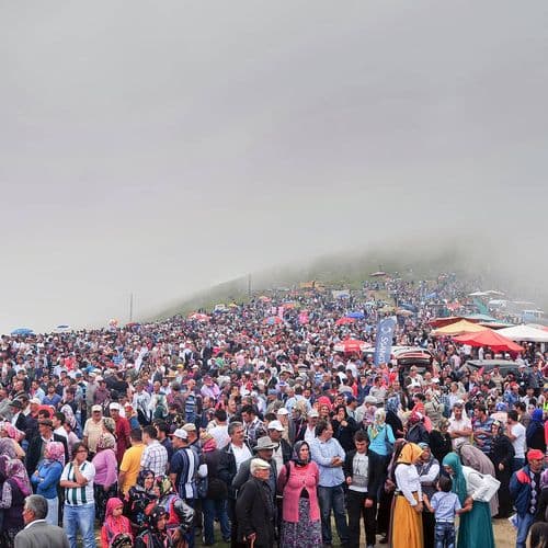 Kadırga Plateau Festival