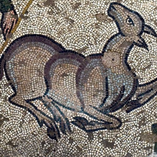 Germanicia Mosaic Field Archaeological Site