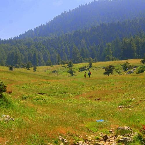 هضبة باشكونوش