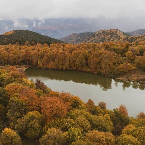 Леса Енидже