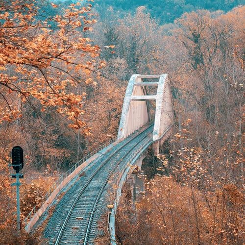 Леса Енидже