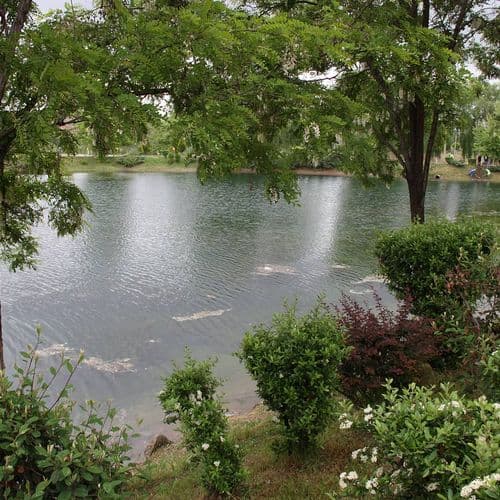 Celal Bayar Picnic Area