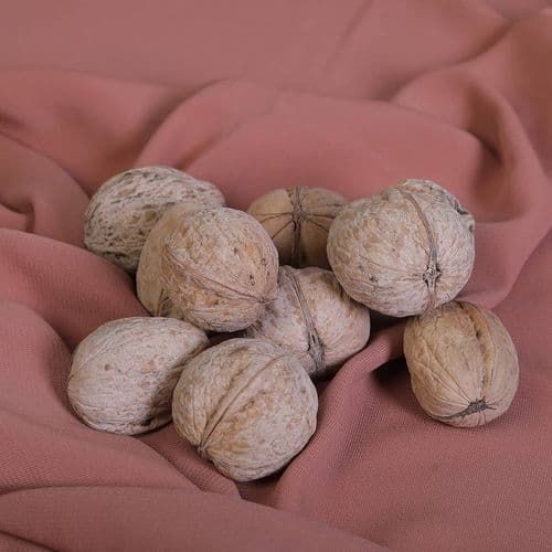 Kaman Walnut Cologne