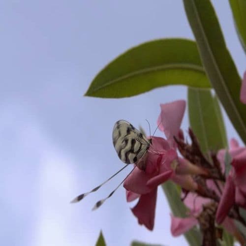 Dilek Peninsula National Park