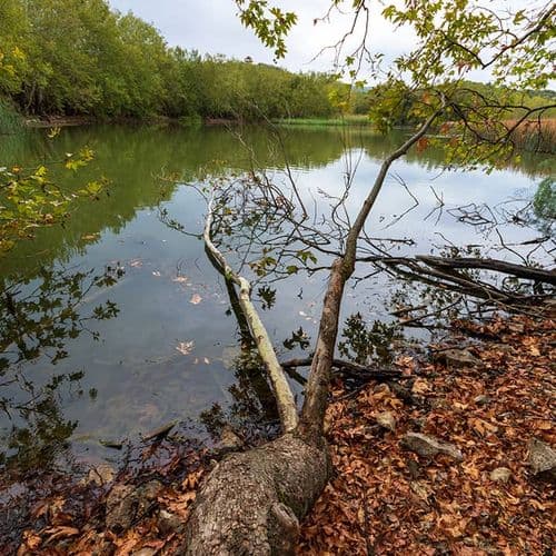 Eğirdir（艾伊尔丁）湖