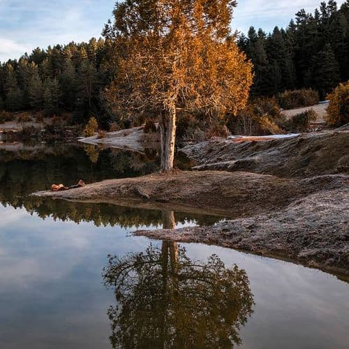 کاراگول ساکاریا