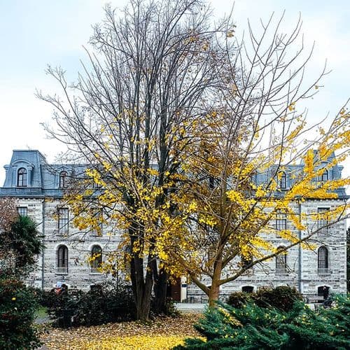 Boğaziçi University