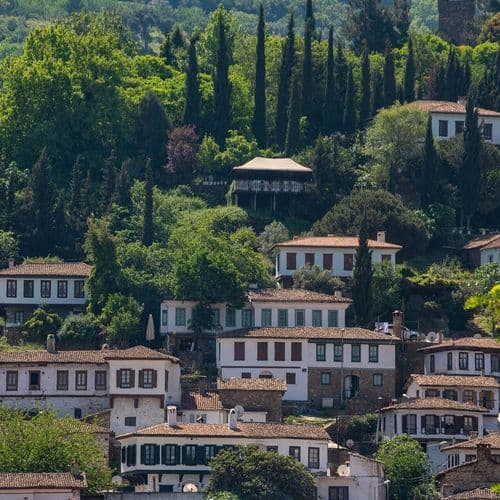 Pilgrimage to Mary's Shrine