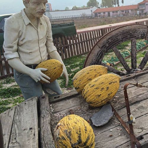 Kırkağaç Melon