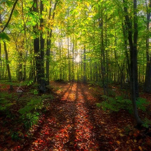 Uludağ National Park