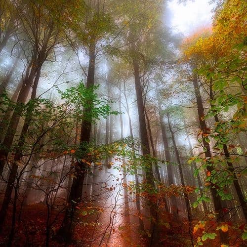 Uludağ National Park