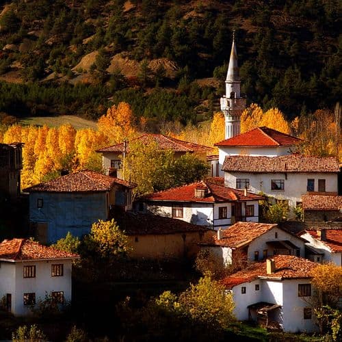 Model Taraklı Houses