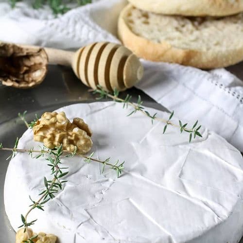 Young Goat Cheese