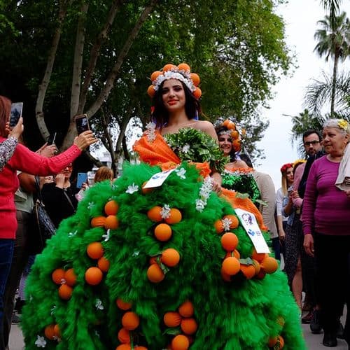 Orange Blossom Carnival Adana