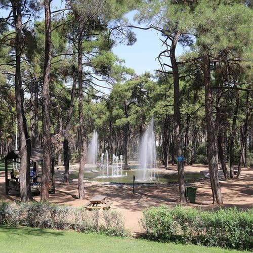 Çamlık Park