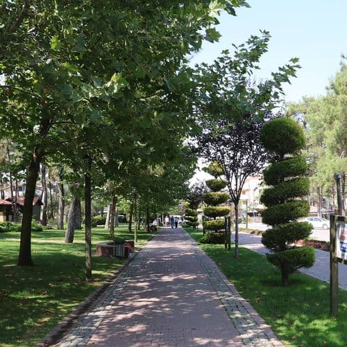 Çamlık Park