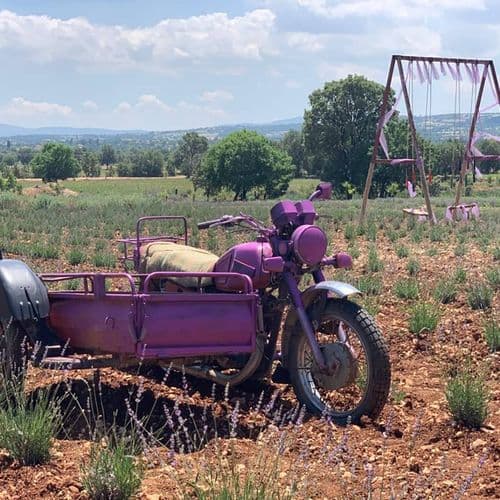 Gözler Lavender Gardens
