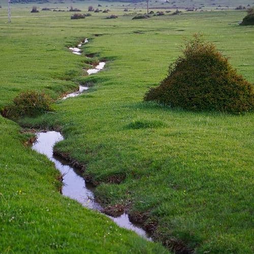 فلات کاراگول