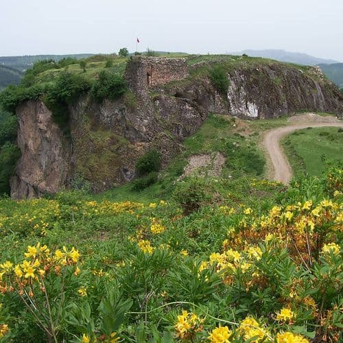 Plateau Rose Gölköy Castle