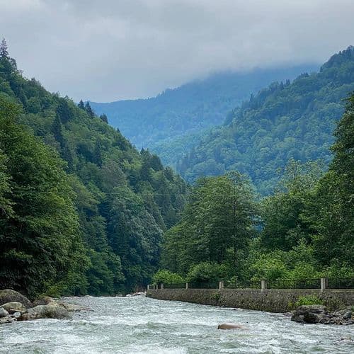 Fırtına River Rize